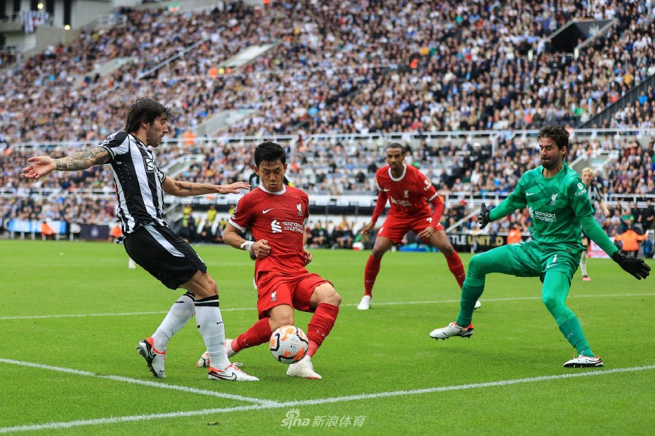 了保障参与 了保障参与